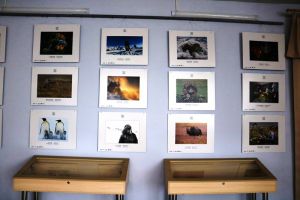В Уйском краеведческом музее экспонируется фотовыставка «EurasiaPhotoAwards»