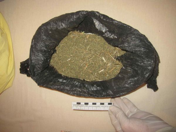 В Уйском полицейские изъяли более трехсот граммов марихуаны
