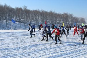 В Уйском прошли соревнования « Лыжня России - 2019 »