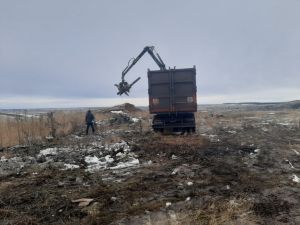 В Соколовском сельском поселении ликвидируют несанкционированные свалки