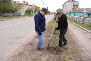 Сотрудники организаций Уйского района озеленяют села