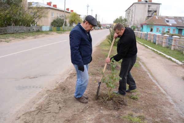 Сотрудники организаций Уйского района озеленяют села