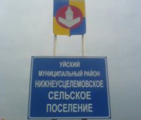 Возле Нижнеусцелемово на проезжей части остановилась большегрузная машина