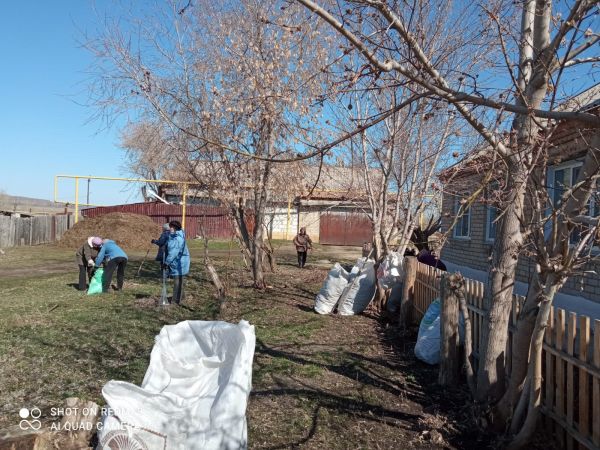 В Маслово пожилые люди сегодня провели субботник возле ФАПа