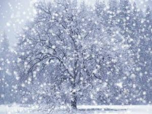 На Уйский район обрушился снегопад, ночью обещают морозы до -42