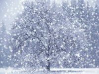 На Уйский район обрушился снегопад, ночью обещают морозы до -42