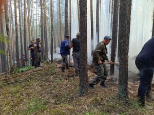 В ликвидации пожара в бору принимал участие &laquo;весь&raquo;  Уйский район
