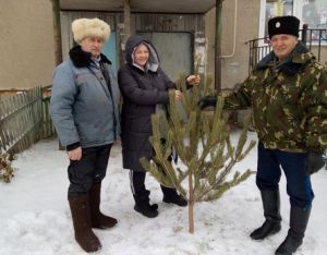 Уйские казаки подарили семьям мобилизованных елки