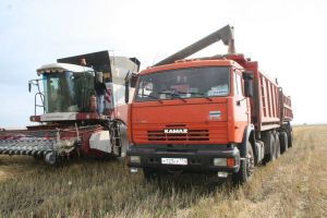 В Уйском районе уборочная кампания идет к завершению