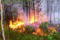 Огнеборцы  Уйского района ищут очевидцев пожаров 2016 года