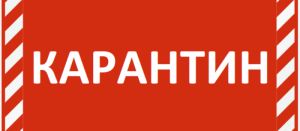 В Уйском районе еще две школы закрыли на карантин