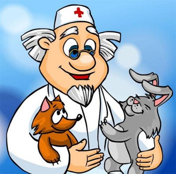 В Уйском районе – новый главный ветеринарный врач