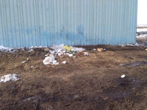 После конных скачек на Яринском ипподроме беспорядок