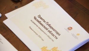 В регионе определены победители первого конкурса губернаторских грантов