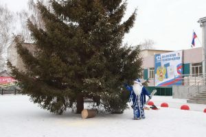 Центр Уйского украшает лесная красавица