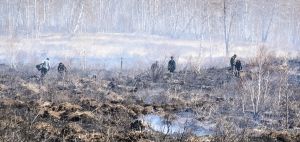 Семь единиц техники тушили лесной пожар около Краснокаменки