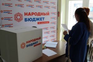 Жители Челябинской области смогут напрямую участвовать в решении местных вопросов