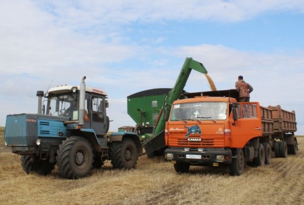 В Уйском районе продолжается уборочная