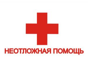 Для &laquo;неотложки&raquo; Уйского района приобрели новый автомобиль