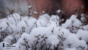 В Челябинской области на этой неделе прогнозируют похолодание