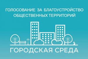 Около 128 тысяч жителей Челябинской области проголосовали за объекты благоустройства