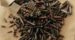 У жителя Выдрино полицейские изъяли патроны