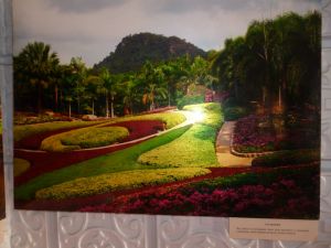 В Уйском музее открылась фотовыставка « Сиамские картинки»