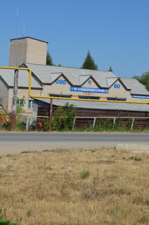 В Уйском районе  произошли два лесных  пожара