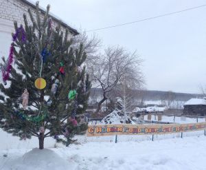 В Маслово установили новогоднюю елку