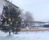 В Маслово установили новогоднюю елку