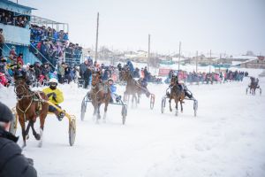 На Яринском ипподроме пройдут конные соревнования