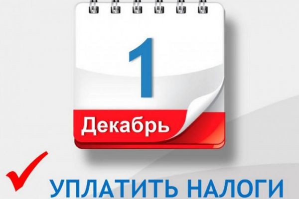 Жители Уйского района должны оплатить налоги до 1 декабря