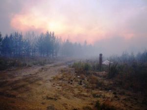 В Уйском районе произошло 62 пожара за первое полугодие
