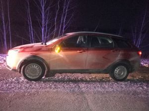 Автоледи наехала на лошадь вблизи Бирюковского