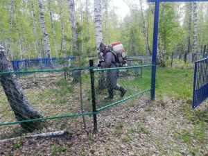 В Белово провели обработку от клещей