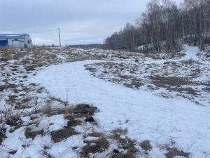 В Уйском, на лыжной базе &laquo;Олимпиец&raquo;, готовят трассу
