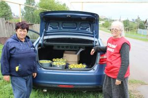 В Уйском серебряные волонтеры подарили фрукты воспитанникам  реабилитационного центра