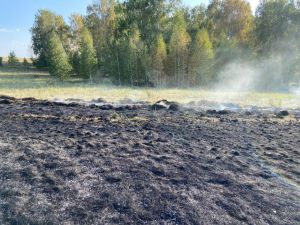 В  Уйском районе отменён особый противопожарный режим