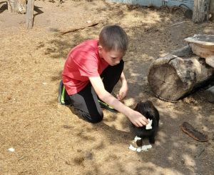 Уйские школьники посетили страусиную ферму в Сарафаново