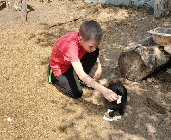 Уйские школьники посетили страусиную ферму в Сарафаново