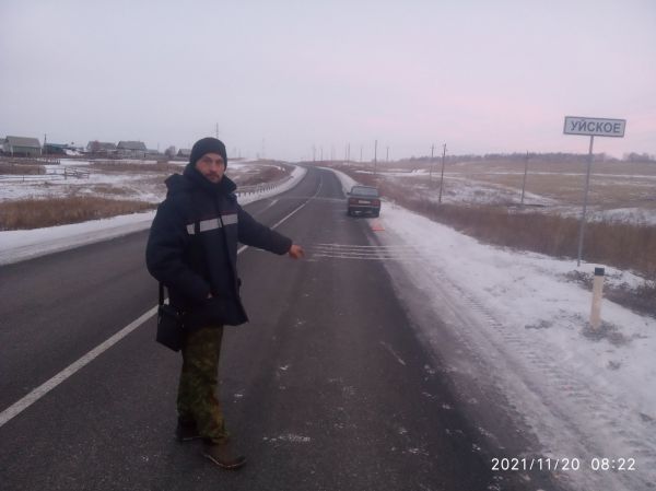 Водитель &laquo;семерки&raquo; сбил лошадь возле Уйского