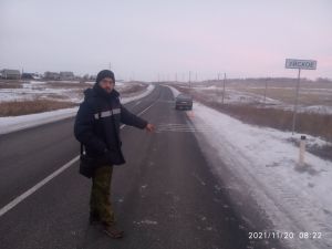 Водитель &laquo;семерки&raquo; сбил лошадь возле Уйского