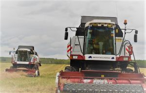 На сегодня в Уйском районе убрано 60% посевной площади
