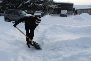 В Уйском добровольцы помогают пожилым людям