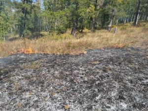 В Уйском районе отменили особый противопожарный режим