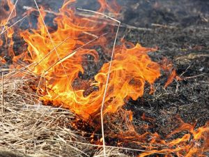 В выходные дни в Уйском пожарные устранили возгорание
