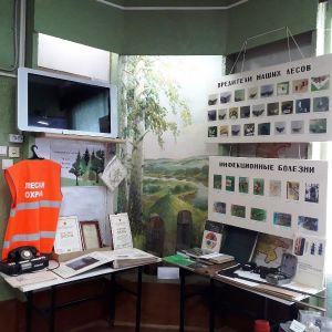 В Уйском краеведческом музее открылась новая выставка &laquo;Защитники леса&raquo;