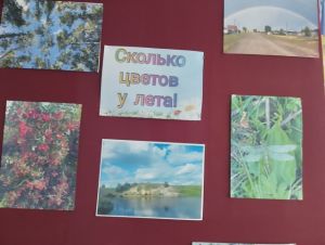 В ДК Кидыша прошла фотовыставка &laquo;Сколько цветов у лета&raquo;