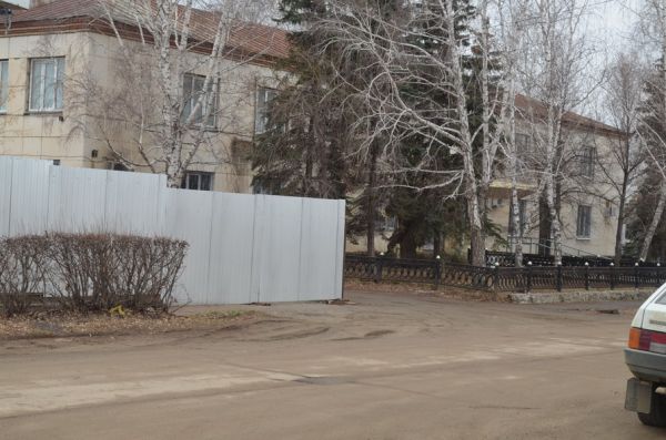 Сегодня в центре Уйского собака напала на жительницу Горок