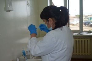 В Уйскую больницу поступит вакцина от клещевого энцефалита для взрослых на следующей неделе